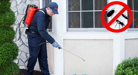 İzmit Bit İlaçlama böcek ilaçlama ve haşere kontrolü — ilaclama-tr.com